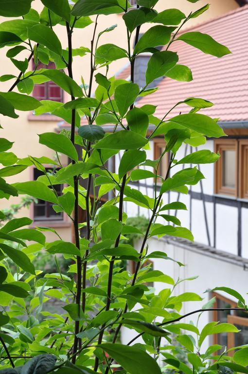 Gaestezimmer Am Hof Frankfurt am Main Bagian luar foto